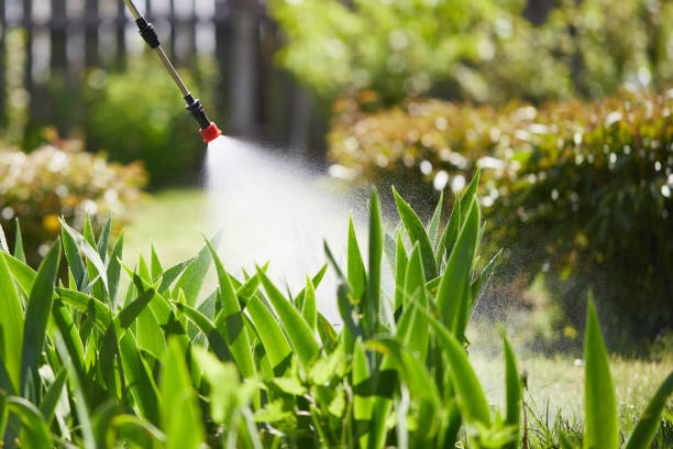 24/7 Emergency Mosquito Control experts in Prospect, OH