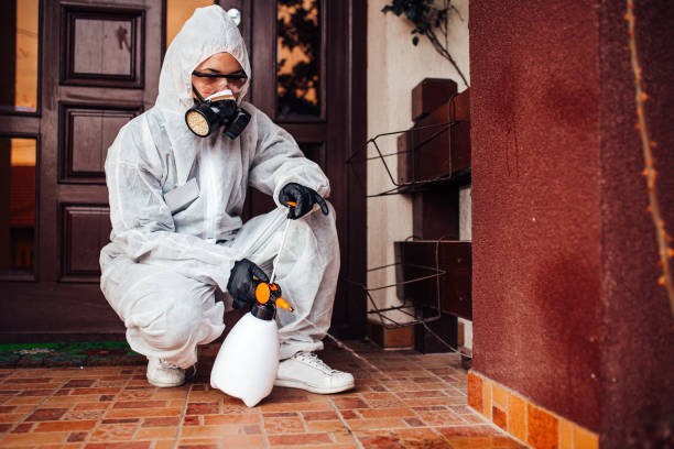Reliable Mosquito Control contractor in Prospect, OH by Show Me Pest Control