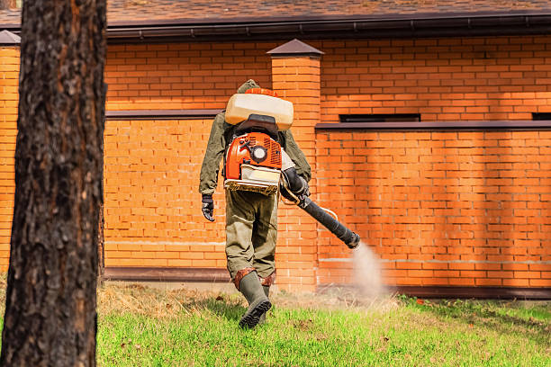 Top rated local Mosquito Control specialists in Prospect, OH